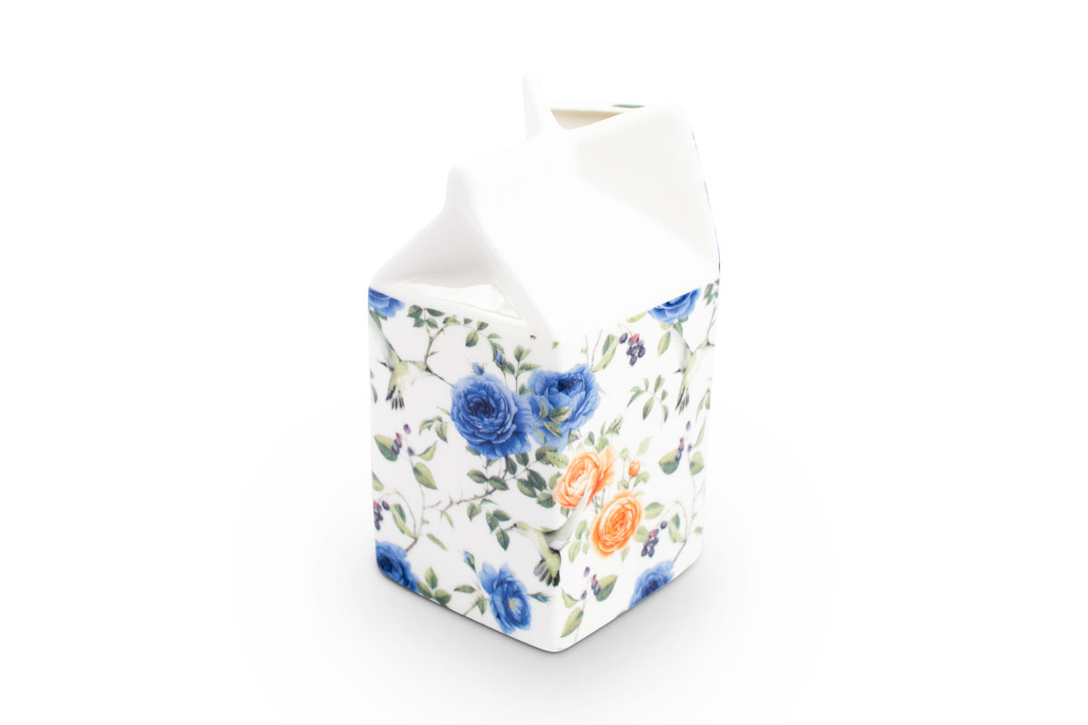 Large Carton Jug