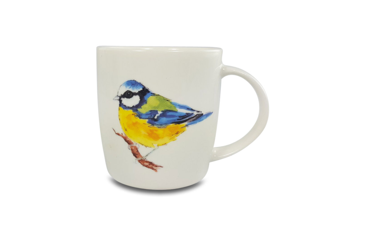 Blue Tit
