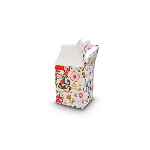 Carton Jug