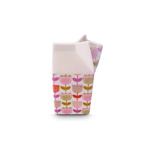 Large Carton Jug A
