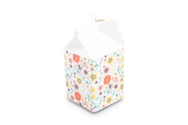 SF-LARGE-CARTON-JUG